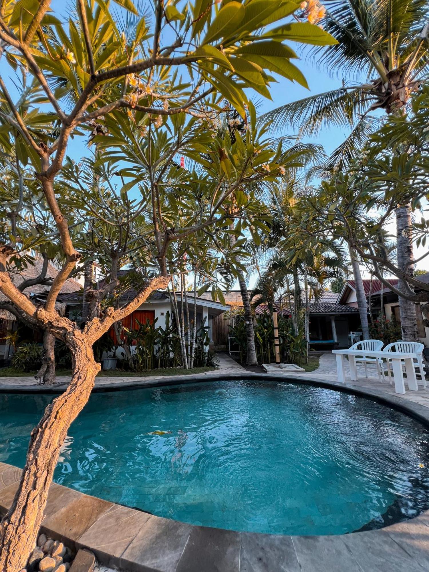 Coconut Dream Hotel Джили Трауанган Екстериор снимка