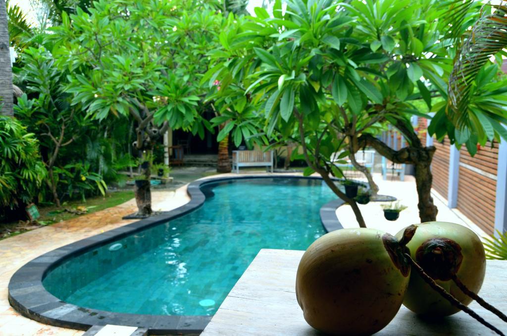Coconut Dream Hotel Джили Трауанган Екстериор снимка